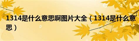 1314意思|» 1314的含义：为什么在恋爱、友谊和亲密关系中被广泛使用？